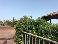 -朱家尖南沙景点