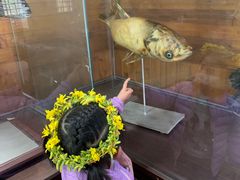 -南京金牛湖风景区