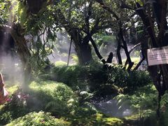 -Chom Cafe and Restaurant