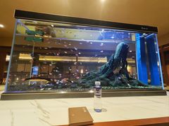 -大江户·温泉洗浴(浑南店)