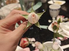 -正斗·港式粤菜(SKLP店)