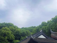 -上海佘山国家森林公园天马山园