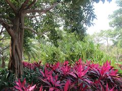 IMG_8810-三亚亚龙湾红树林度假酒店