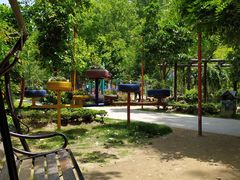 -合肥滨湖国家森林公园