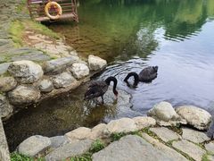 -蝴蝶泉公园