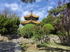 -大连老虎滩海洋公园