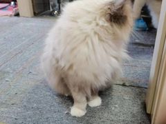 -零纪元VR体验馆·桌游(黄浦店)