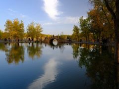 -金塔沙漠胡杨林景区