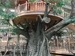 -南宫五洲植物乐园