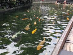 -宝墨园景区