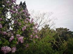 -青岛德国总督楼旧址博物馆