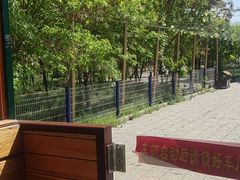-西青郊野公园
