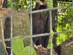 -海南热带野生动植物园