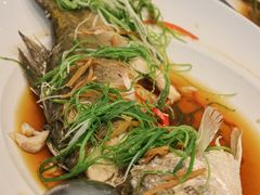 -Chom Cafe and Restaurant