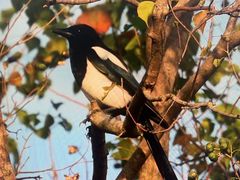 -上海海事大学(临港校区)