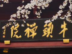 -牛首山文化旅游区