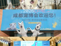 -国际非物质文化遗产博览园