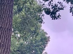 -苏州上方山国家森林公园