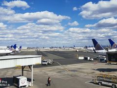 -纽瓦克自由国际机场