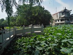 -莲湖公园