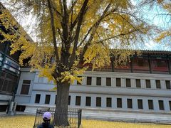 -国家图书馆·古籍馆