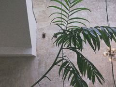 -太平老街-前行美术馆