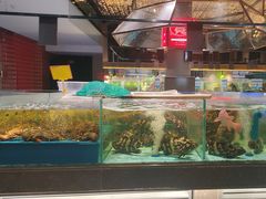 -阿伟海鲜楼·福建菜(延寿店)