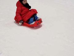 -梦幻奥陶纪景区