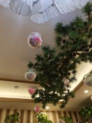 -芳朵美容养生SPA