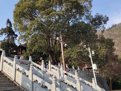 -报恩寺(平武县)