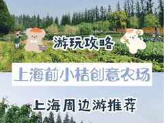 -前小桔亲子创意农场·草莓采摘·露营烧烤