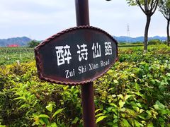 -北京张裕爱斐堡酒庄