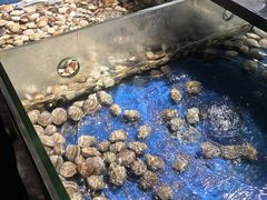 -鲜吃为尚.鲜切牛肉海鲜自助火锅(新塘万达广场店)