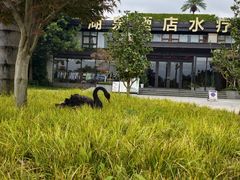 -湖泉半山温泉(湖泉生态园)