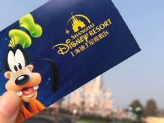 -上海迪士尼度假区