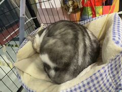 -谜盒子奇幻密室(南屏店)