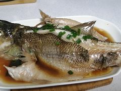 -大班家政月嫂育儿嫂(深圳NO.1店)