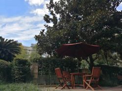 -榕树上·瑜伽普拉提