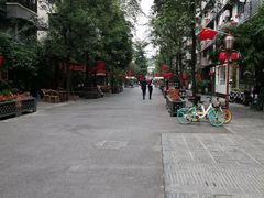 -泡桐树街