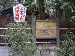 -野宫神社