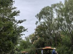 -溱湖国家湿地公园