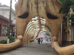 -重庆海昌加勒比海水世界