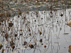 -黄河小浪底水利枢纽风景区