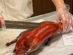 -秀儿四九城·新京菜(亚运村鸟巢店)