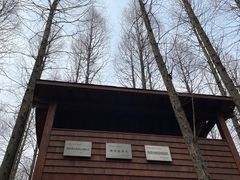 -同里国家湿地公园