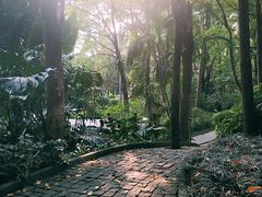 -深圳国际园林花卉博览园