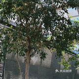 午休来CBD蹭个饭
