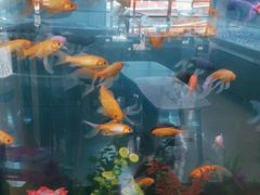 -云镜眼镜加工中心(南环路店)