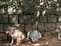 -杭州长乔极地海洋公园