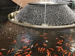 -新世界大丸百货